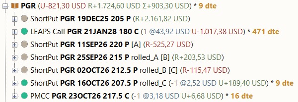 Portfolio-Baum: Book PGR mit LEAPS Call und einer dreimal gerollten PMCC-Kette (rolled_A, rolled_B, rolled_C) sowie einer weiteren offenen PMCC-SingleGroup