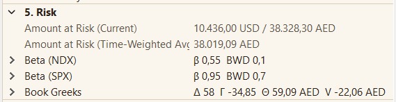 PropertyGrid-Kategorie '5. Risk' aufgeklappt: Amount at Risk (Current und Time-Weighted Avg.), Beta (NDX) mit BWD, Beta (SPX) mit BWD, Book Greeks